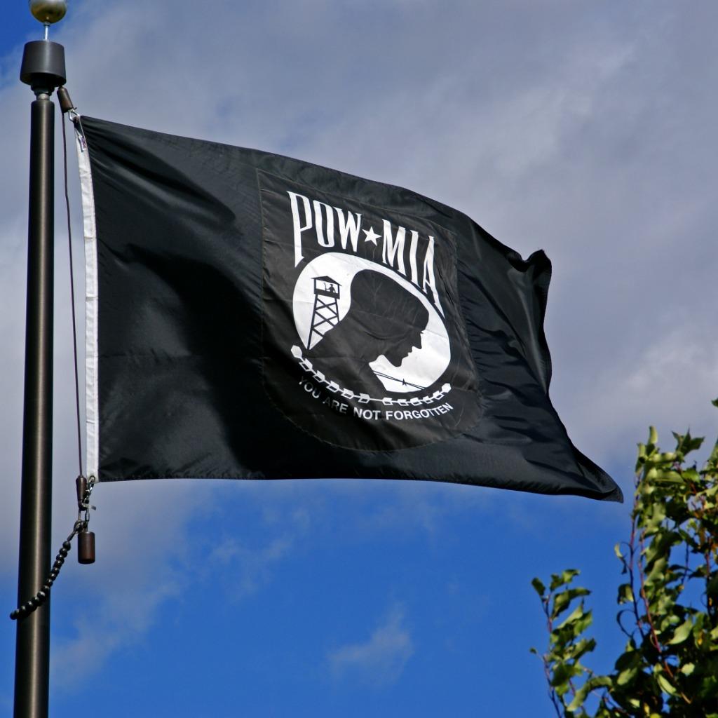 American Flags, State Flags, Military Flags CarrotTop Industries